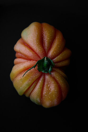 pomodoro 3 copia